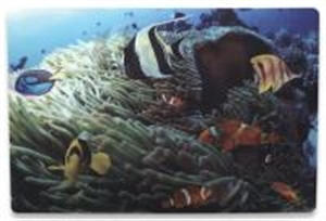 Imagem de Notebook Skin "3D-Tropical Reef
